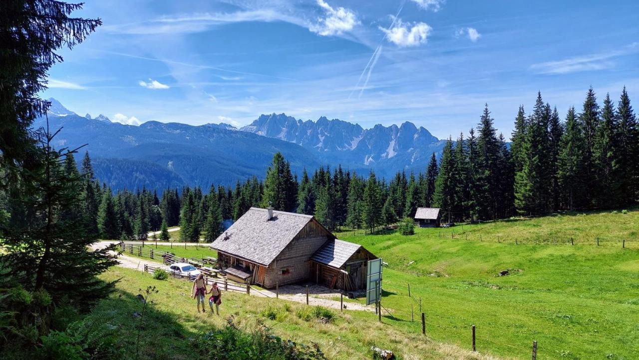 Twin Peak Edelweiss *